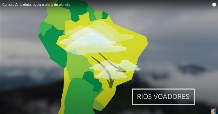 Foto: Cena do vídeo Como a Amazônia regula o clima do planeta do canal Pesquisa Fapesp do Youtube