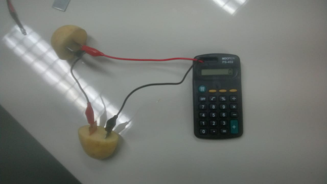 Foto: Experimento em que pedaços de batata geram energia elétrica para uma calculadora